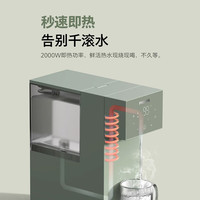 飞利浦(PHILIPS)冷热饮水机家用制冷+制热 制冰水台式冷热一体机免安装办公室小型桌面茶吧机饮水机ADD8255/93 冷热型 冷热饮水机ADD8255