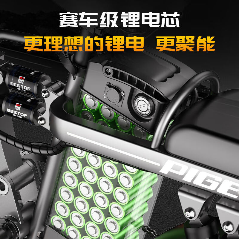 尊享-进口级35A-10减震-纯电续航≤105公里