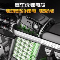 飞鸽;FLYING PIGEON新国标折叠电动自行车超长续航轻骑电动车铝合金代驾车锂电池助力男女成人电瓶车代步电单车 畅行版-级35A-6减震纯电100-120KM