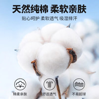 MQDMINI童装男童短裤夏季纯棉薄款帅气中小童衣服儿童运动五分裤子夏装潮 灰色竖条字母小标 80