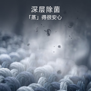 西门子 XQG100-WN52E1U10W 蒸汽护理 10kg 蓝色 洗烘一体机