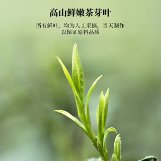 文新绿茶2025新茶甄选纸包信阳毛尖特级200g明前直发