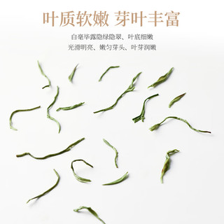 碧螺2025绿茶苏州茶叶明前特级碧螺春新茶春茶花果清香自己喝250g