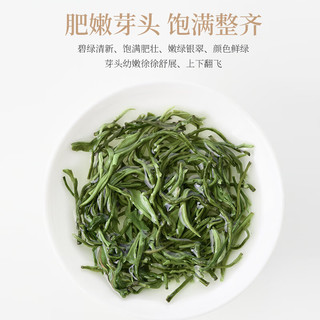碧螺2025绿茶苏州茶叶明前特级碧螺春新茶春茶花果清香自己喝250g