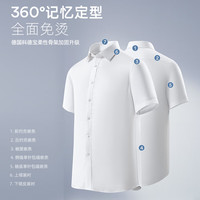 雅戈尔 短袖衬衫男TP免烫全身装衬200支衬衫柔软亲肤细腻光泽2025 漂白素色41 （175/96Y）