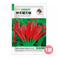 神禾 朝天椒种子