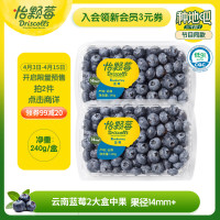 怡颗莓 云南蓝莓 14mm+ 240g/盒 2盒装