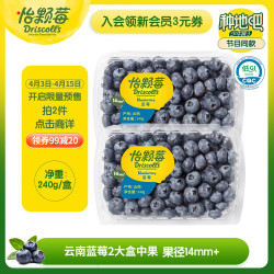 怡颗莓 当季云南蓝莓14mm+ 2盒装 240g/盒 生鲜水果