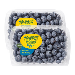 怡颗莓 当季云南蓝莓14mm+ 2盒装 240g/盒