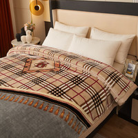 雅鹿拉舍尔毛毯冬季加厚保暖办公室午睡毯家用多功能沙发盖毯子午休毯 简约时尚【多功能 可铺盖】 200*230cm【重约9斤】