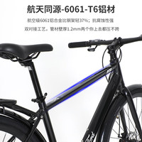 福特自行车男女士成人城市通勤变速铝合金单车 YC220 M码 翠竹绿 翠竹绿-26寸21速禧玛诺变速