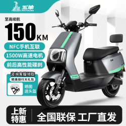 五羊电动车 WUYANG 2025款电动摩托车超长续航72V 金属灰1300W强劲电机/前碟后鼓 1.0需自配电池充电器无
