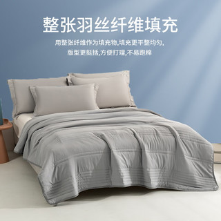 皮尔卡丹（pierre cardin） 纤维空调被夏凉被  灰
