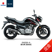 豪爵铃木 [定金]豪爵铃木骊驰GW250-A ABS国四250cc电喷摩托车 整车20680元
