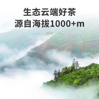 顶青湖古树鸭屎香凤凰单枞茶 高山老枞潮州乌岽单丛冷泡乌龙茶罐装50克 高山老枞鸭屎香【香醇山韵】50g