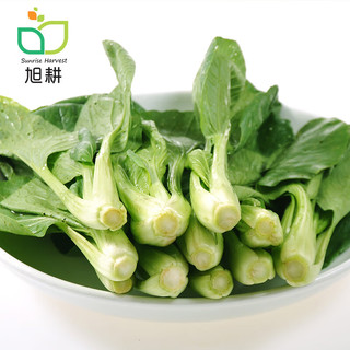 旭耕 有机小油菜250g 有机蔬菜配送 有机认证 净菜青菜火锅配