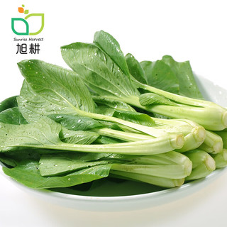 旭耕 有机小油菜250g 有机蔬菜配送 有机认证 净菜青菜火锅配