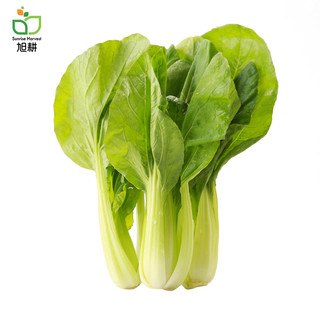 旭耕 有机小油菜250g 有机蔬菜配送 有机认证 净菜青菜火锅配