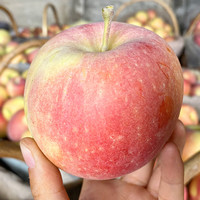 京李记 新疆冰糖心苹果 新鲜水果丑苹果脆甜红富士苹果整箱 16-18枚 单果200g以上 净重8.5斤