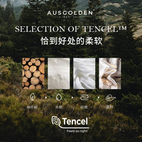 AusGolden轻奢A类60S高密高支莱赛尔兰精天丝四件套春季床单被套床上用品 皮尔尼 1.2m床单款(被套150*210cm)