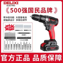 德力西 DELIXI 手电钻套装