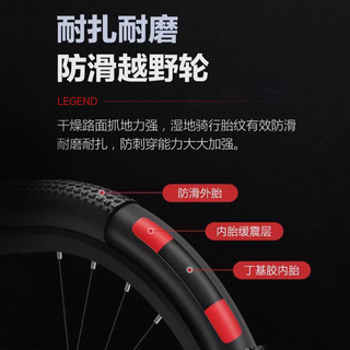 匹克（PEAK）传奇山地自行车成人自行车山地车自行车青少年中单车变速 传奇LEGEND|香槟金|线碟+礼包 24寸|适合150-170cm 27速