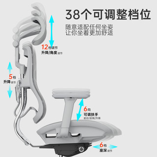  ERGOUP/有谱 护腰 人体工学椅  黑框黑网，黑框黑网+脚踏，黑框黑网-千元铝合金椅背，黑框黑网+千元铝合金椅背+脚踏