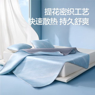 网易严选冰丝席夏季家用凉席用品水波纹冰丝席床单床笠枕套两件套凉席 水波灰-床单款 120cm*200cm （两件套）