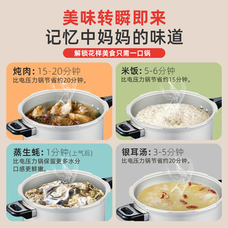 爱妻AICHEN 防爆高压锅 明火压力锅 合金氧化层 家用燃气 加厚 蒸格款5-8人24cm7.5L