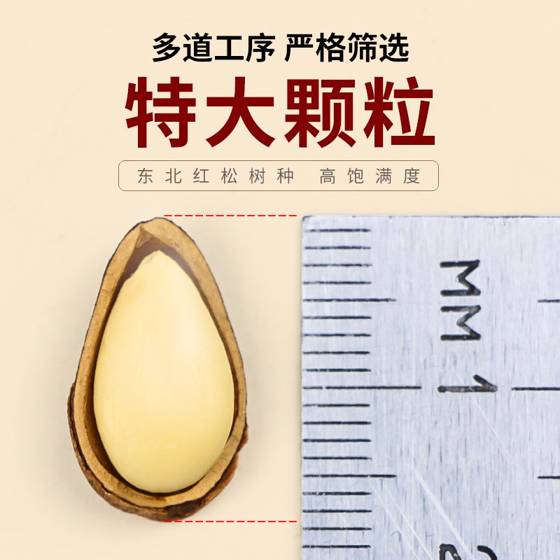 北域珍奇开口松子特级特大东北野生散装颗粒手剥松籽原味孕妇