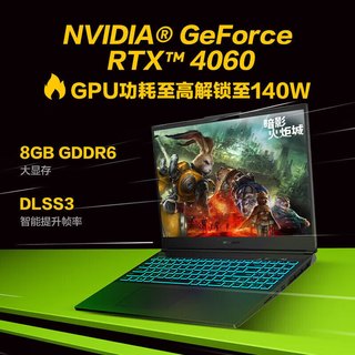 MECHREVO 机械革命 蛟龙15 Pro 15.6英寸 游戏本