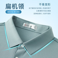 劲霸男装男士polo纯色时尚休闲百搭夏季短袖polo衫男|FTBG2381 岩灰绿 200/5XL