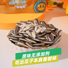 胖农原味瓜子葵花籽50g×10袋独立包装 内蒙河套特产零食炒货