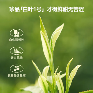 京东京造 2025新茶 明前安吉白茶绿茶纸包100g 白叶一号珍稀白茶茶叶