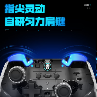 雷神（ThundeRobot）G30S竞技版 2.4G无线有线蓝牙游戏手柄 类XBOX扳机振动TMR摇杆原神黑神话怪猎荒野双影奇境 黑