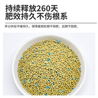 园艺家 虹越花肥花多多奥绿318S缓释肥家用盆栽花卉绿植通用氮磷钾颗粒