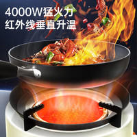清系户外自驾露营装备车载超大功率便携气炉野营炉具野外红外线卡式炉 红外线卡式炉黑