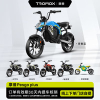 摩兽电动车 Pesgo Plus跨骑电动车可上牌锂电智能新国标电动自行车 Pesgo Plus（2024款）颜色到店选购 Pesgo Plus运动版48V24Ah