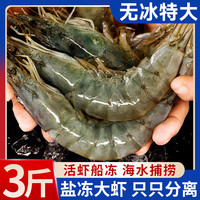 海皇湾 虾 青岛盐冻大虾 青虾冷冻冰虾基围虾类白虾 海虾 2.8- 3斤(净重)  13-15厘米5060