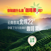 雀巢咖啡果然轻咖即饮果茶饮料饮品白茶味410ml瓶0糖风味饮料