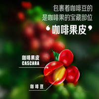 雀巢咖啡果然轻咖即饮果茶饮料饮品白茶味410ml瓶0糖风味饮料