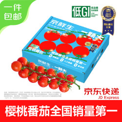 一颗大 樱桃番茄带枝整串 净重850g