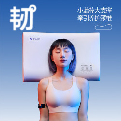 网易严选 枕头B03小蓝棒记忆棉枕慢回弹深睡枕助睡眠护颈椎枕芯 原生中枕 单只装
