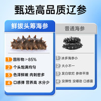 鲜拔头筹海参 即食海参海鲜大连辽参刺参500g一斤开袋即食 即食海参 一斤20-30头