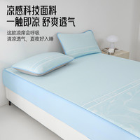 多喜爱夏季冰肌PE提花软凉席A类二三件套可水洗空调席可折叠床笠 冰肌PE提花软凉席【雅致蓝】