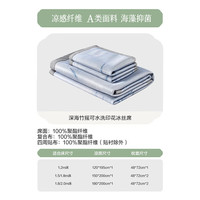 百丽丝家纺凉席可水洗印花冰丝席新款凉席a类可水洗冰海丝凉感席 深海竹摇可水洗印花冰丝席