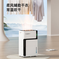 Eurgeen/欧井 7L/天 负离子净化 除湿器