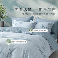 百丽丝家纺三四件套AB双版纯棉床上四件套床单床笠被罩套件 适配150*210cm被芯