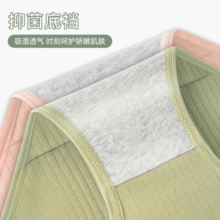 内裤女士纯棉三角裤高腰收腹提臀柔软全棉抗菌档女生大码三角短裤