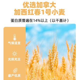 百钻高筋面粉500g面包烘焙面粉家用面包机吐司比萨原料